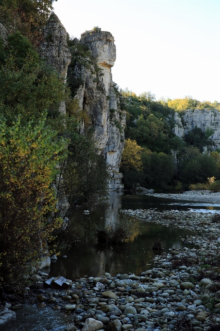 Paisaje árbol agua exterior