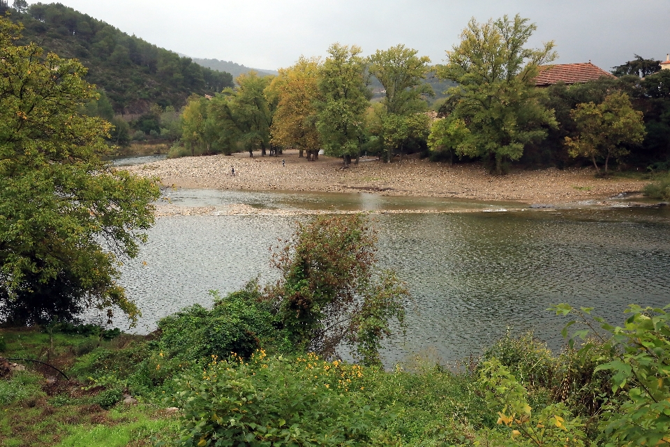 Landschaft draussen regen see