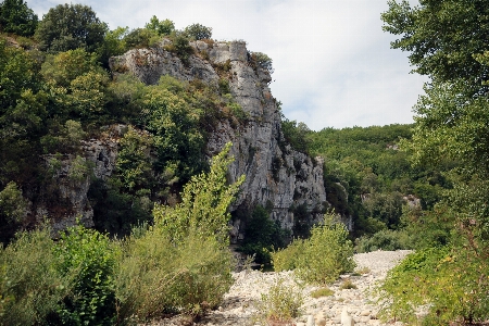 Landscape tree forest rock Photo