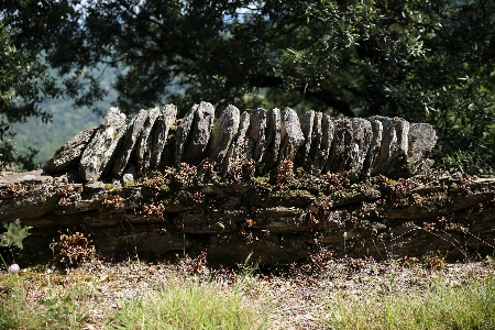 Rock frankreich europa dschungel Foto