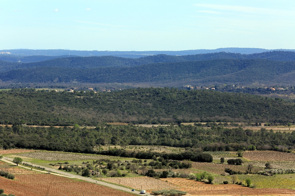 Paesaggio albero montagna campo