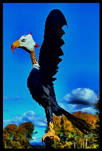 Bird wing metal eagle Photo