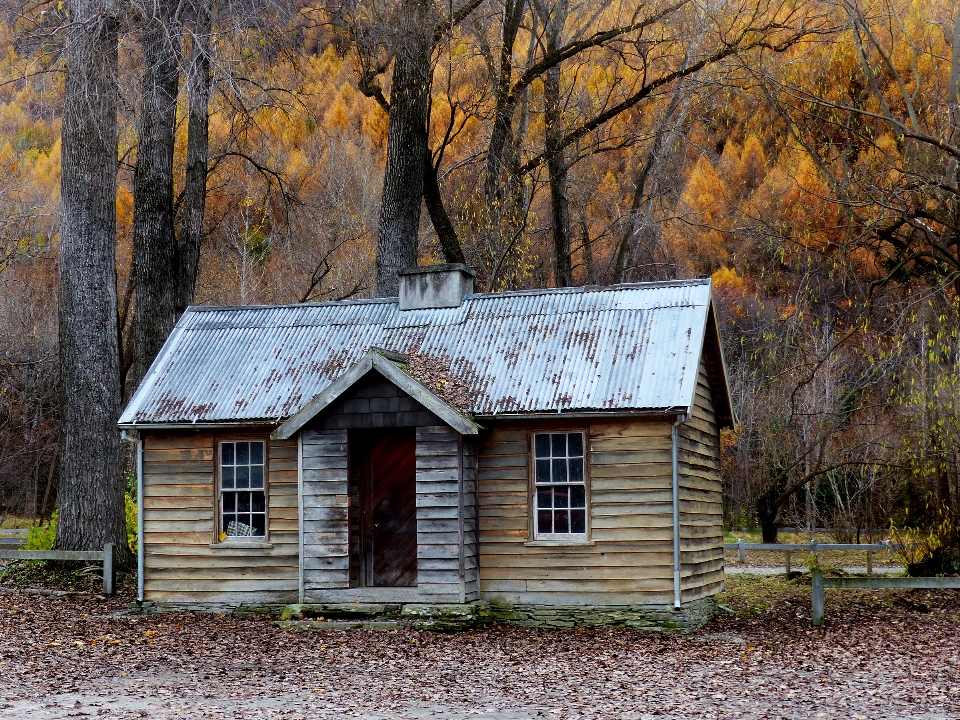 Baum holz bauernhof haus