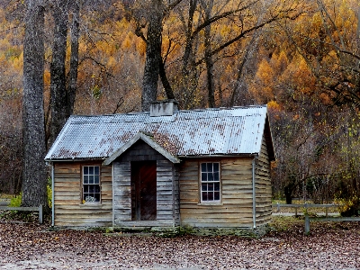 Tree wood farm house Photo