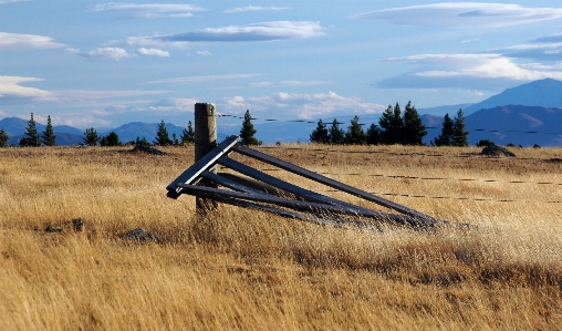 Landscape grass horizon fence Photo