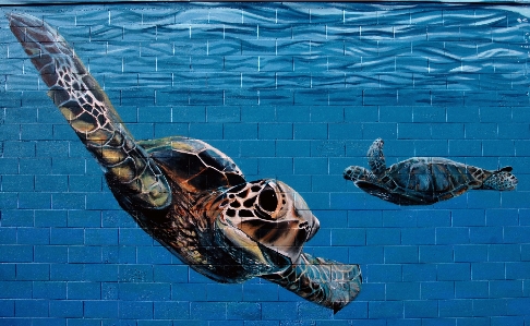 Blue turtle painting art Photo