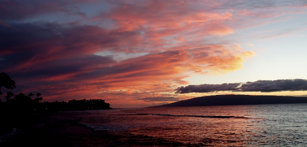 ビーチ 海 海岸 海洋 写真