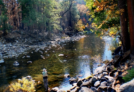 Landscape tree water nature Photo