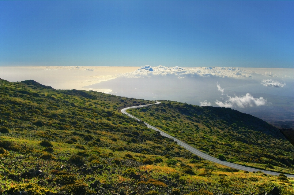 風景 地平線 山 道