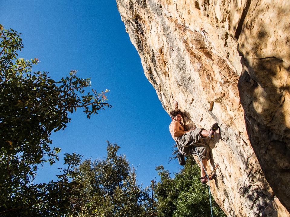 árbol rock aventura recreación