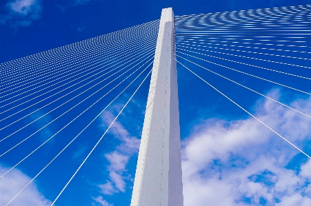 Wing architecture sky bridge Photo