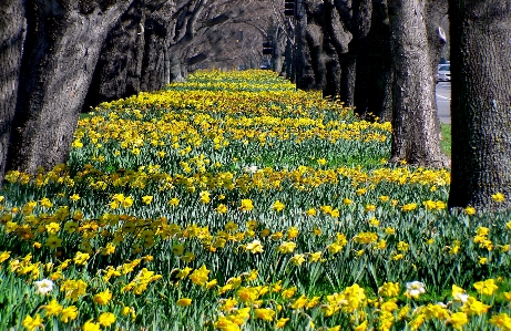 Architecture plant field meadow Photo