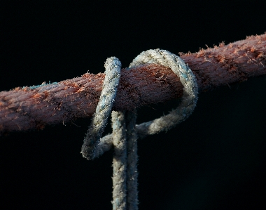 Nature branch rope fence Photo