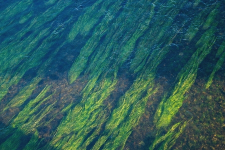 風景 海 海岸 水 写真