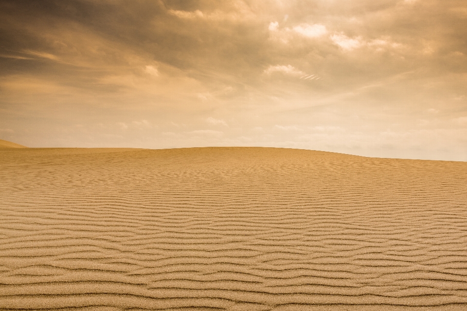 Landscape sand horizon desert