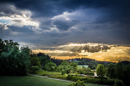 Landschaft baum natur wald Foto