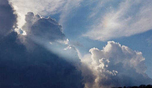 クラウド 空 日光 雰囲気 写真