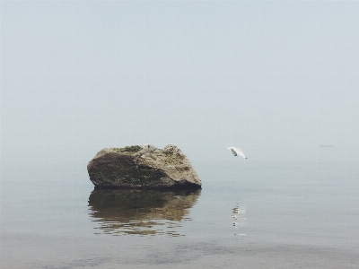 Beach sea coast water Photo