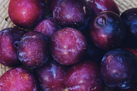 Foto Planta fruta alimento producir