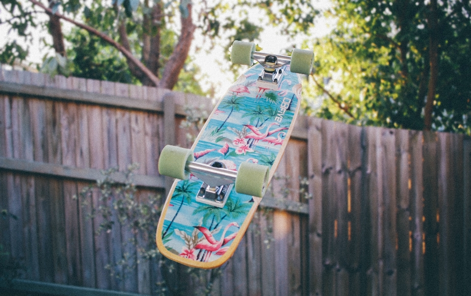 Baum zaun skateboard schlittschuh