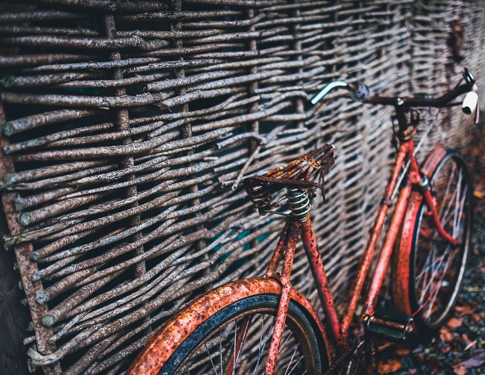 Bicicletta ruggine veicolo arte