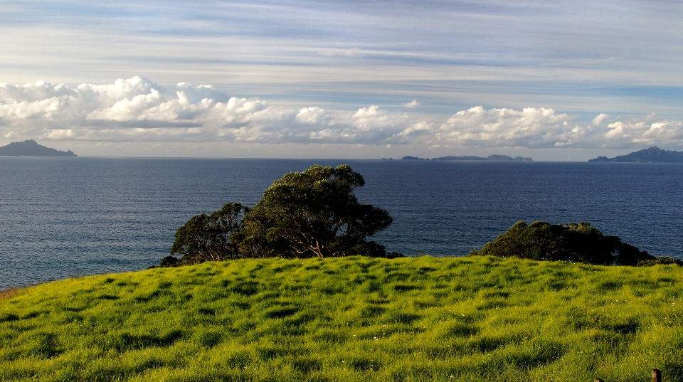 Paesaggio mare costa natura