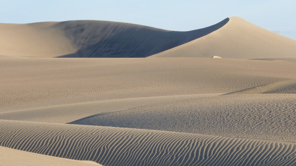 Landscape sand hill desert