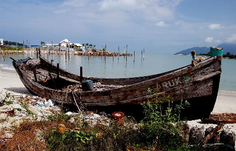 Beach sea coast ocean Photo