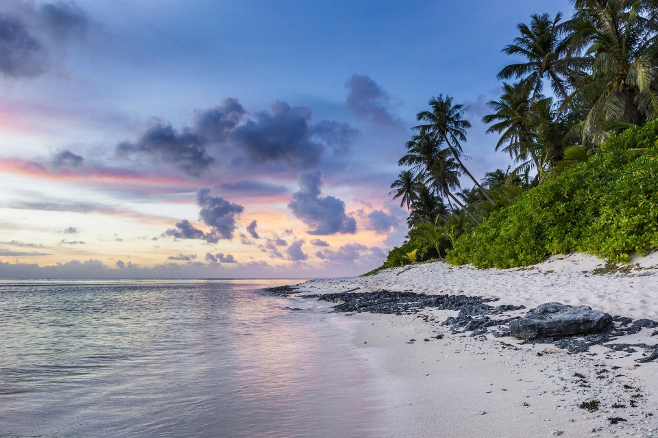 Pantai laut pesisir pasir