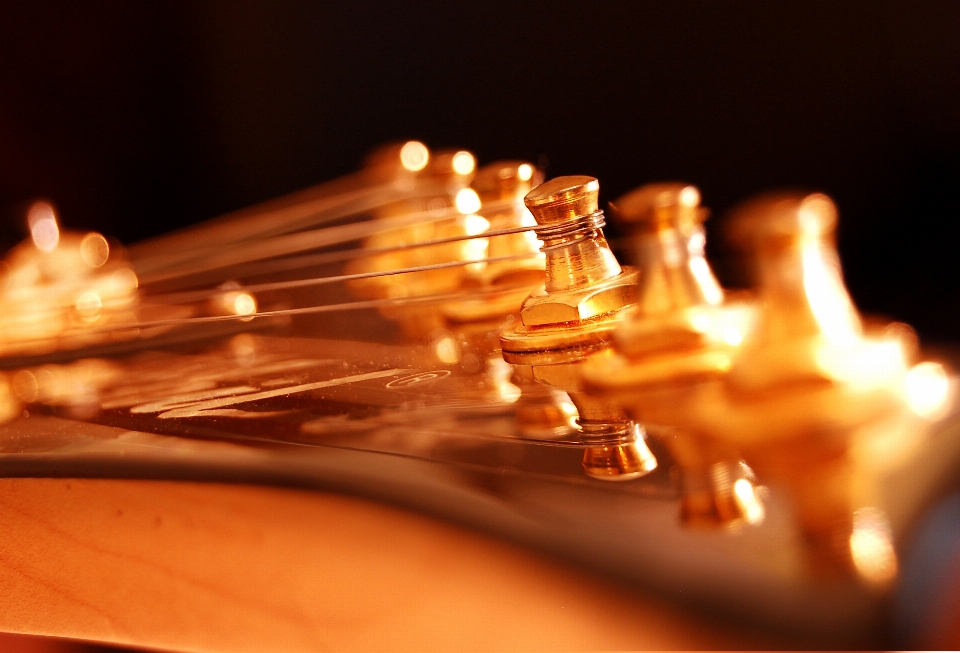 Guitarra instrumento musical instrumentos de cuerda pulsada
 cerca
