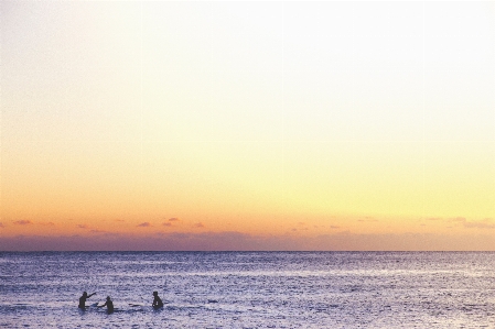 Beach sea coast water Photo