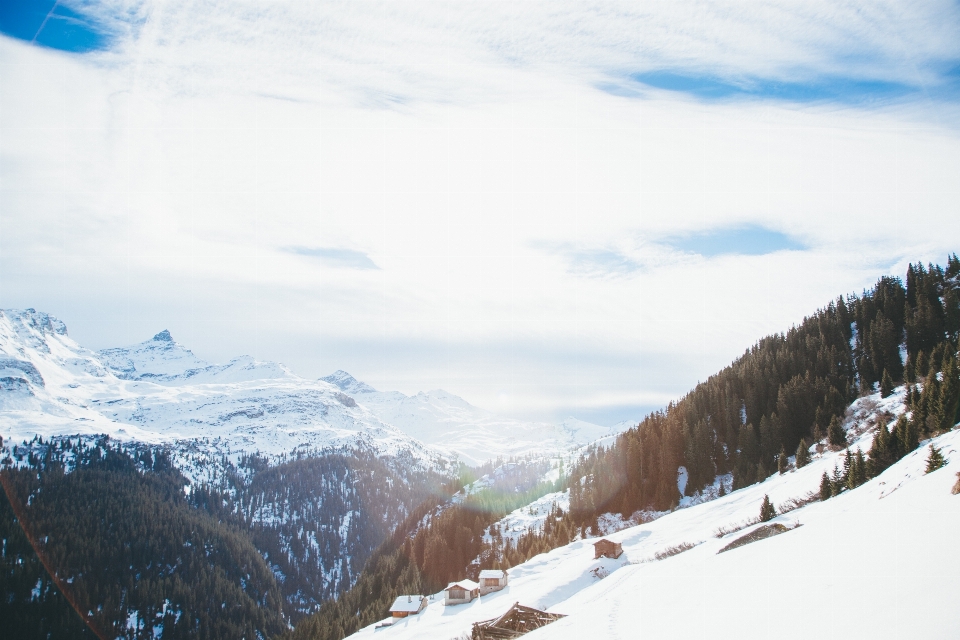 Arbre montagne neige hiver