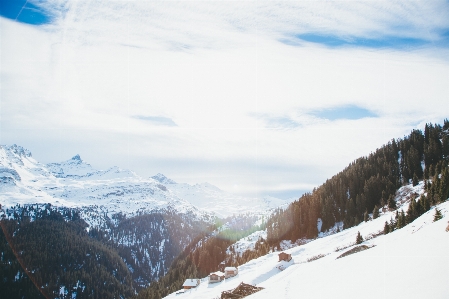 Photo Arbre montagne neige hiver