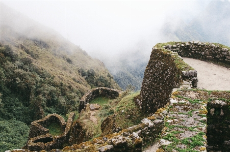 景观 树 rock 山 照片