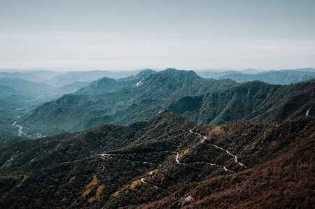 景观 自然 森林 rock 照片