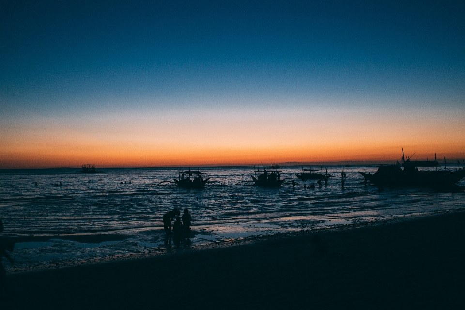 Beach sea coast ocean