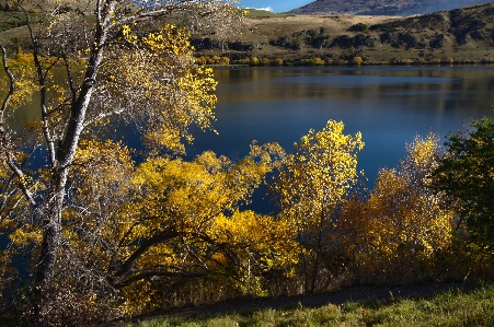 Landscape tree water nature Photo