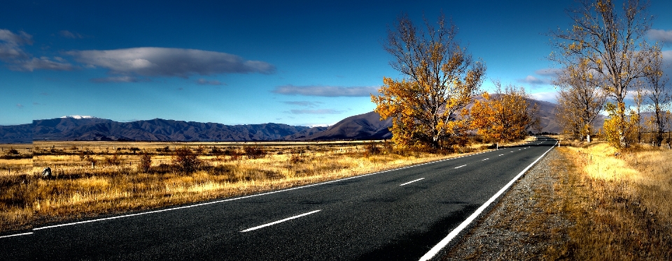 Landschaft baum natur horizont