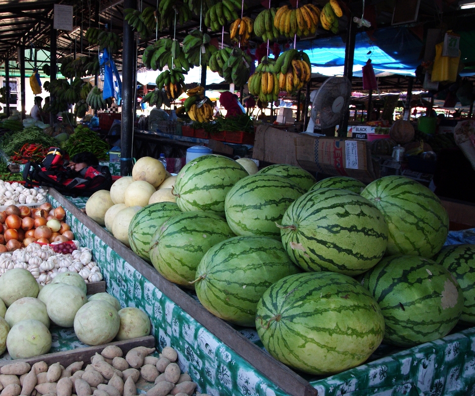 Plantar fruta flor cidade