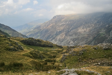 Zdjęcie Krajobraz drzewo rock pustynia
