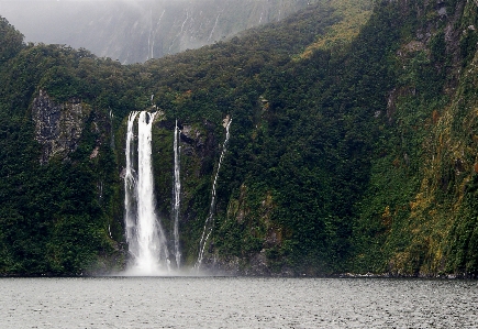 Water forest waterfall lake Photo