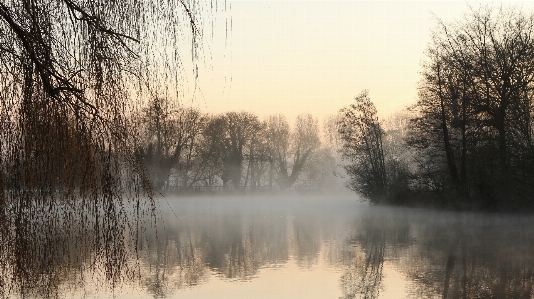 Landscape tree water nature Photo