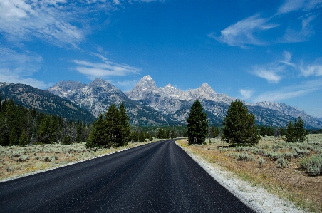 Landscape tree wilderness mountain Photo