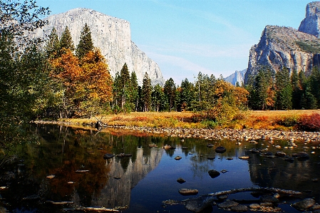 Landscape tree water nature Photo