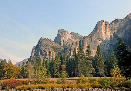 Landscape tree nature rock Photo