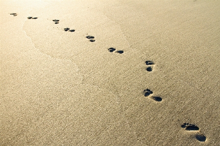 Sand wood texture floor Photo