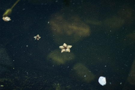 Atmosphere space nebula outer Photo