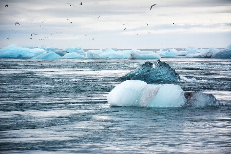 海 海岸 水 海洋 写真