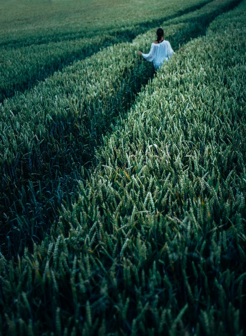 Tree grass plant woman