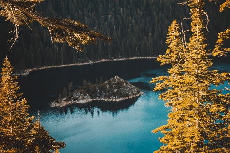 Foto Paisaje árbol agua bosque